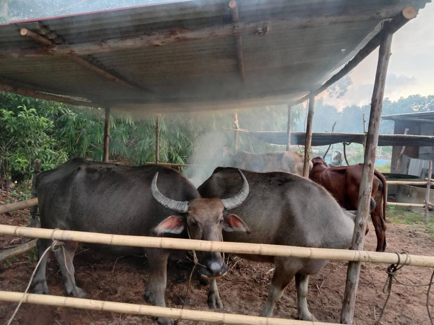 Parmi Farm Steay Villa Takuapa Exterior photo