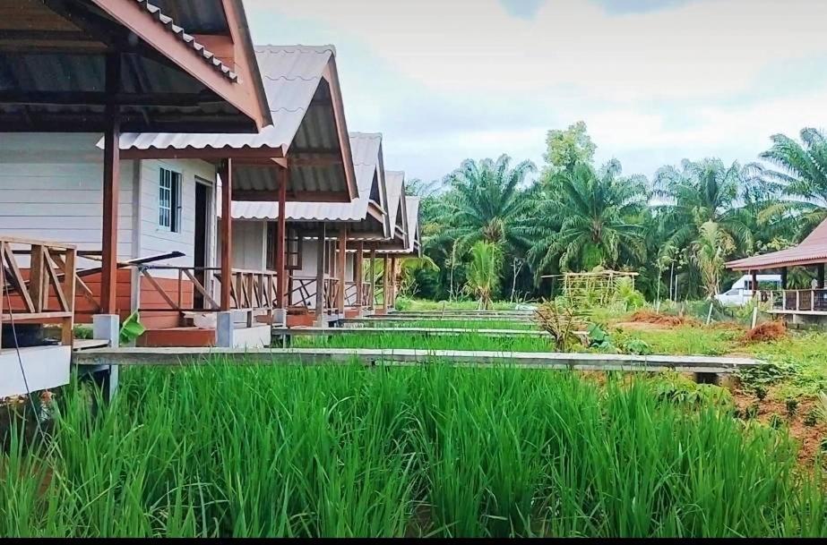 ปารมีฟาร์มสเตย์ Takuapa Exterior photo